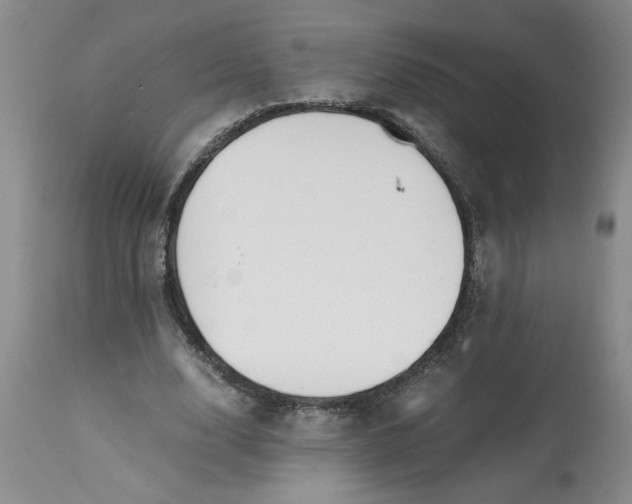 X0000113170632200909251418