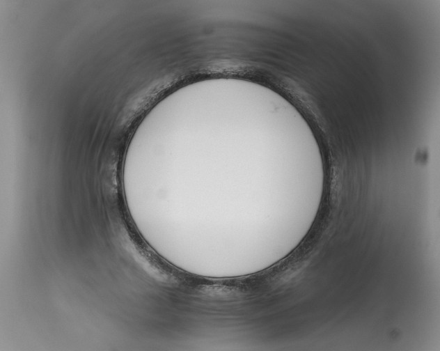 X0000113170633200909251418