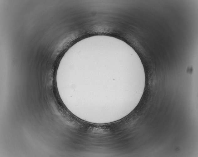 X0000113170635200909251418