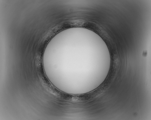 X0000113170641200909251418