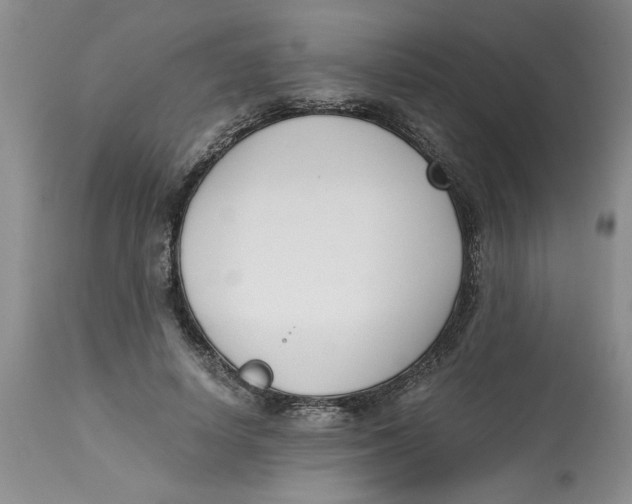 X0000113170642200909251418