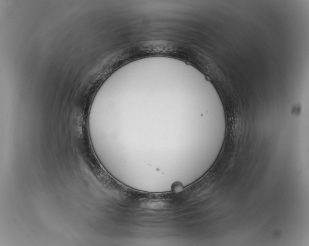 X0000113170643200909251418