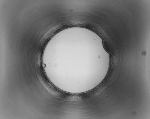 X0000113170644200909251418