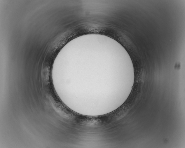 X0000113170646200909251418