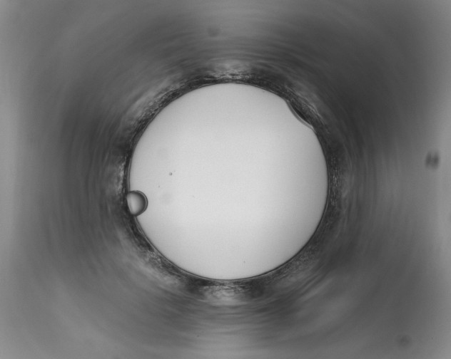 X0000113170652200909251418