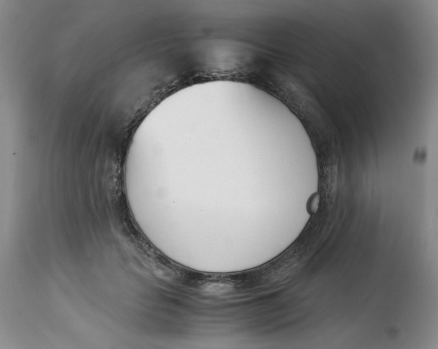 X0000113170653200909251418