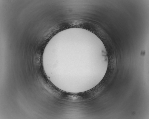 X0000113170654200909251418