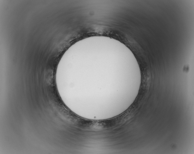 X0000113170656200909251418