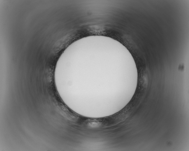 X0000113170658200909251418