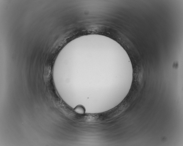 X0000113170660200909251418