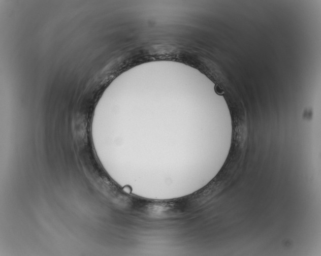 X0000113170662200909251418