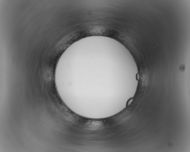 X0000113170665200909251418