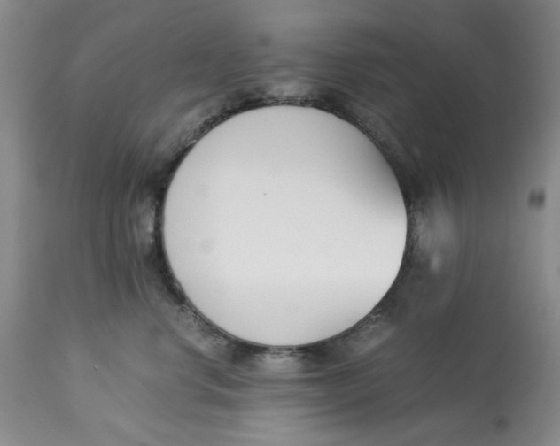 X0000113170668200909251418