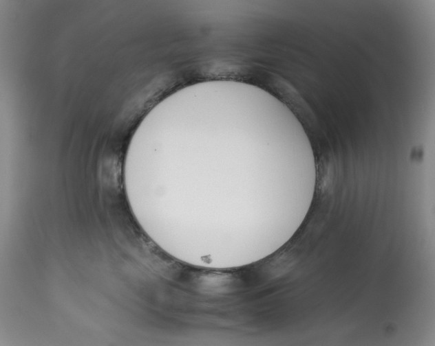 X0000113170669200909251418