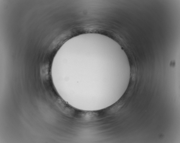 X0000113170670200909251418