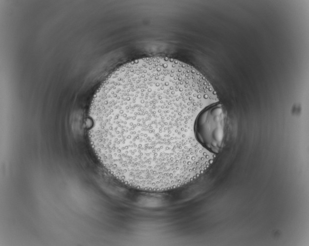 X0000113170671200909251419