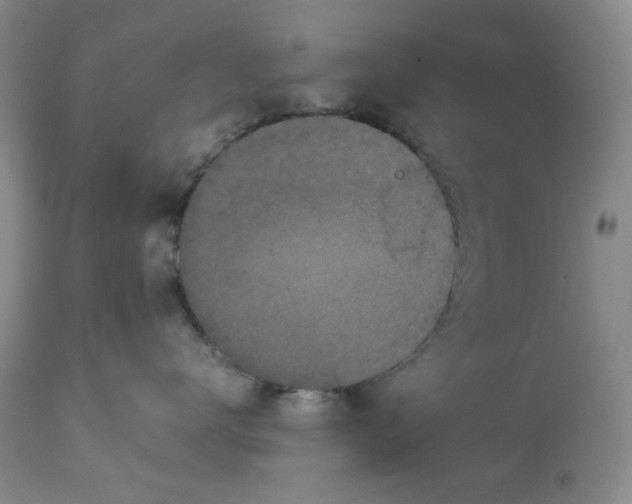 X0000113170672200909251419