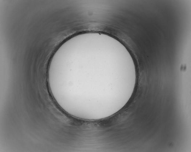 X0000113170673200909251418