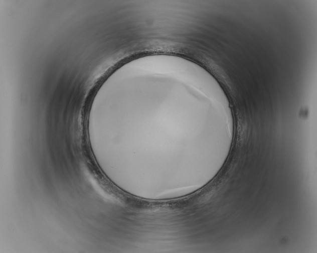 X0000113170674200909251418