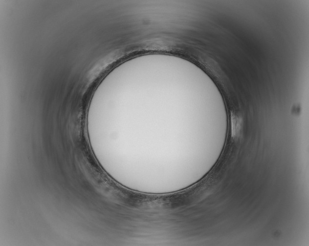 X0000113170675200909251418