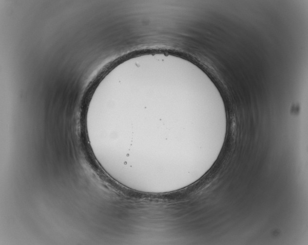 X0000113170676200909251418