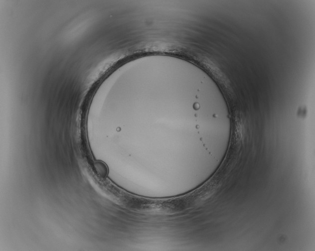 X0000113170678200909251418