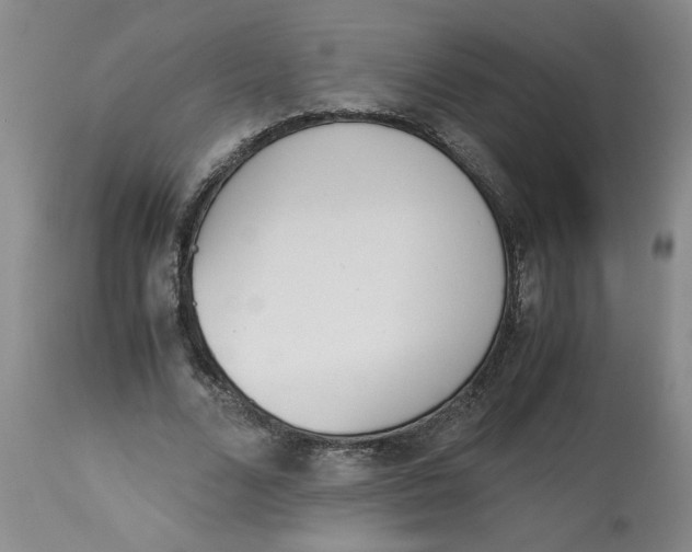 X0000113170680200909251418