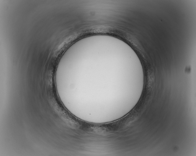 X0000113170681200909251418