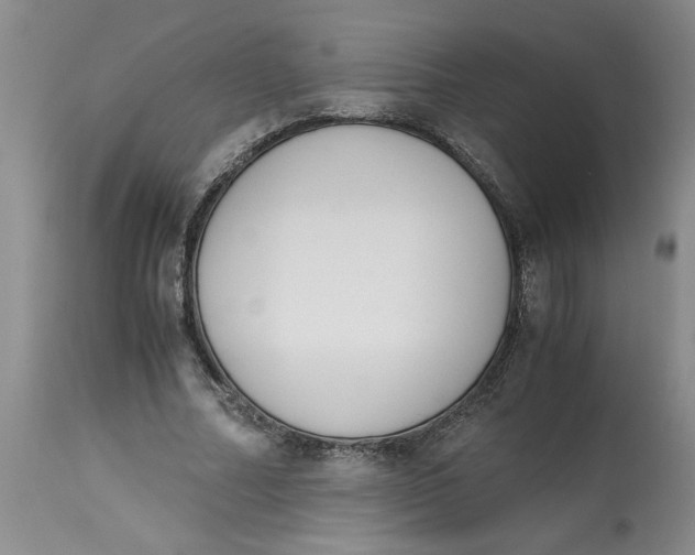 X0000113170682200909251418