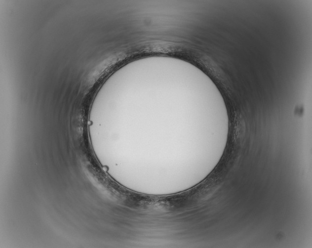 X0000113170683200909251418