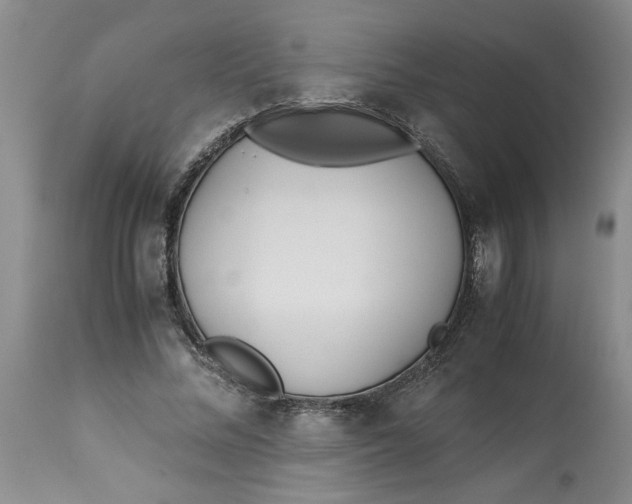 X0000113170684200909251418