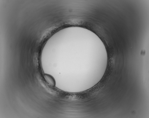 X0000113170688200909251418