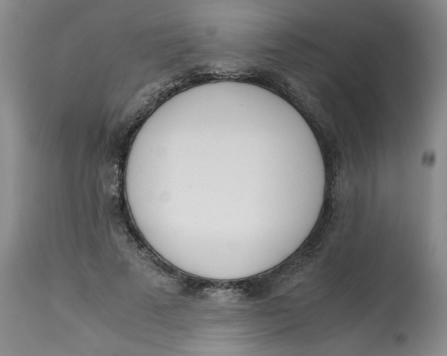 X0000113170689200909251418