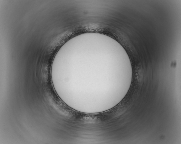 X0000113170690200909251418