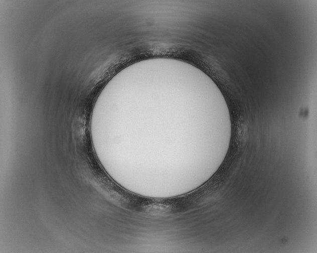 X0000113170691200909251418