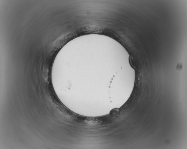 X0000113170693200909251417