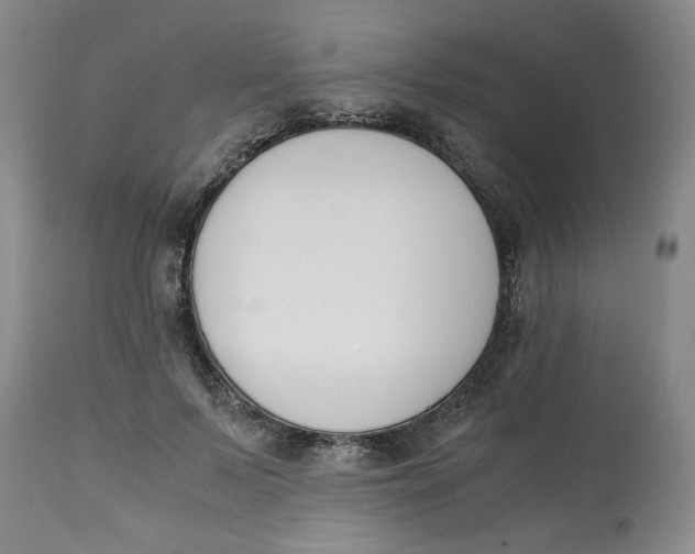 X0000113170695200909251417