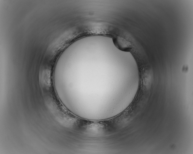 X0000113170696200909251417