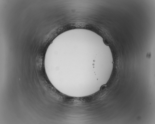 X0000113170697200909251417