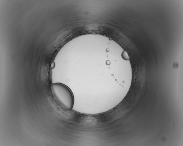 X0000113170702200909251417