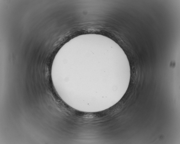 X0000113170704200909251417