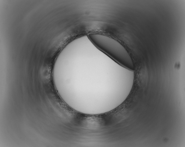 X0000113170708200909251417