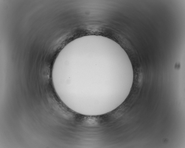 X0000113170710200909251417