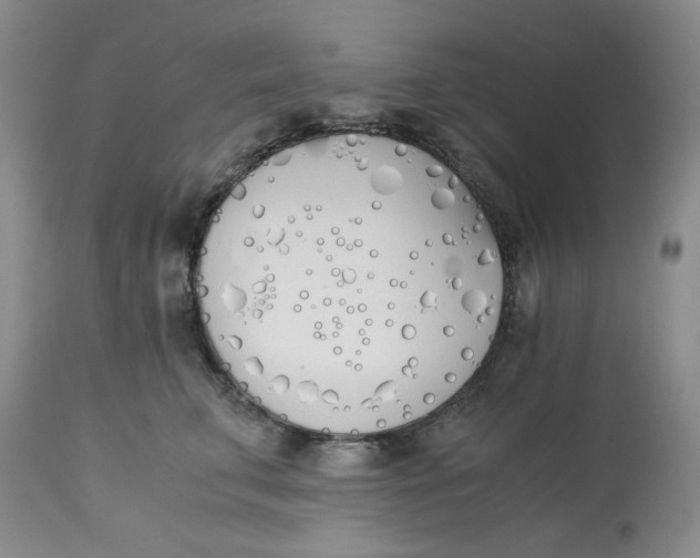 X0000113170711200909251417