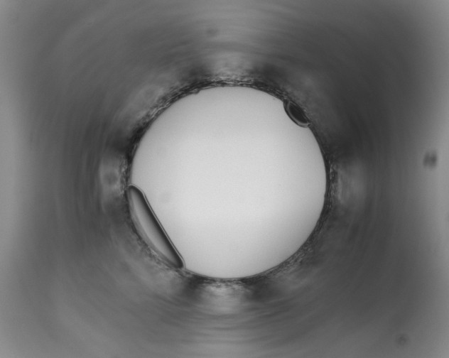 X0000113170712200909251417