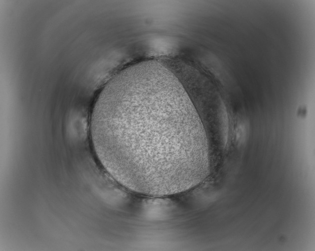 X0000113170716200909251417