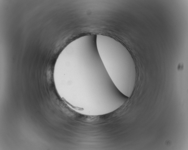 X0000113170720200909251417