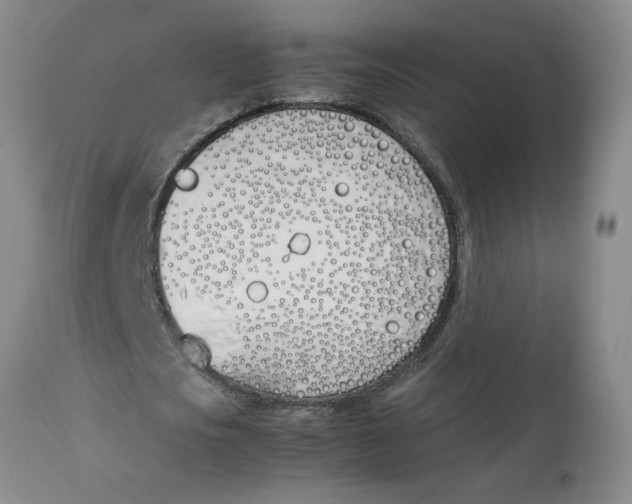 X0000113170721200909251416