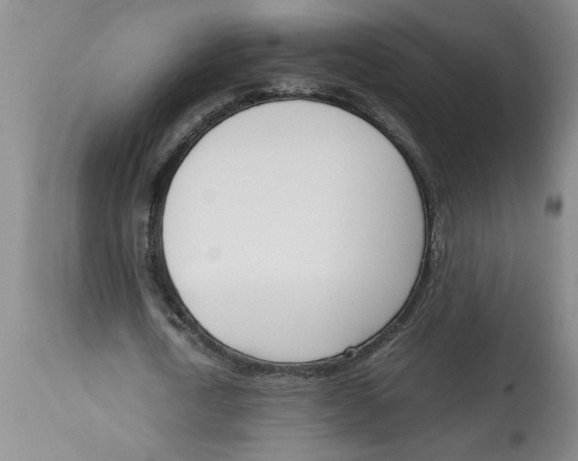 X0000113170722200909251416