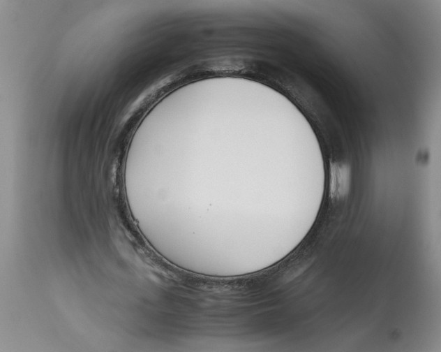 X0000113170723200909251416